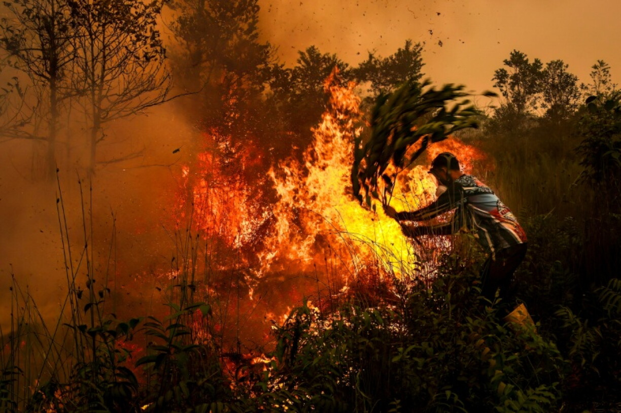 Deforestation monitor Nusantara Atlas says wildfires have consumed more than 1.9 million hectares in the nine months to September