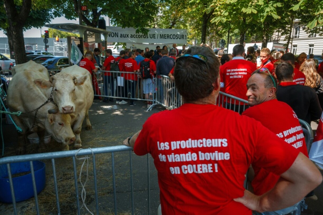 The EU's trade deal with South American bloc Mercosur has faced French-led opposition over agricultural concerns