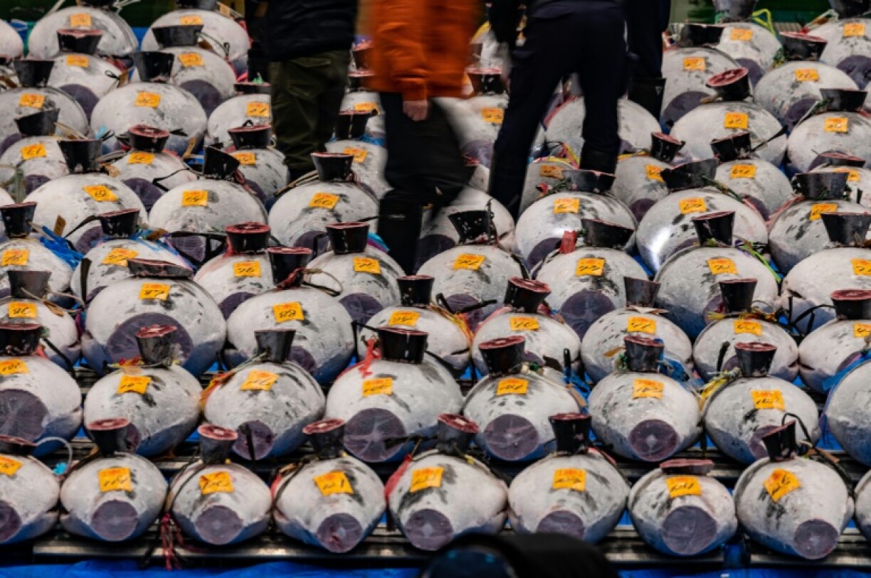 Des grossistes parcourent des allées de thons congelés lors de la traditionnelle vente aux enchères du Nouvel An à Tokyo le 5 janvier 2022