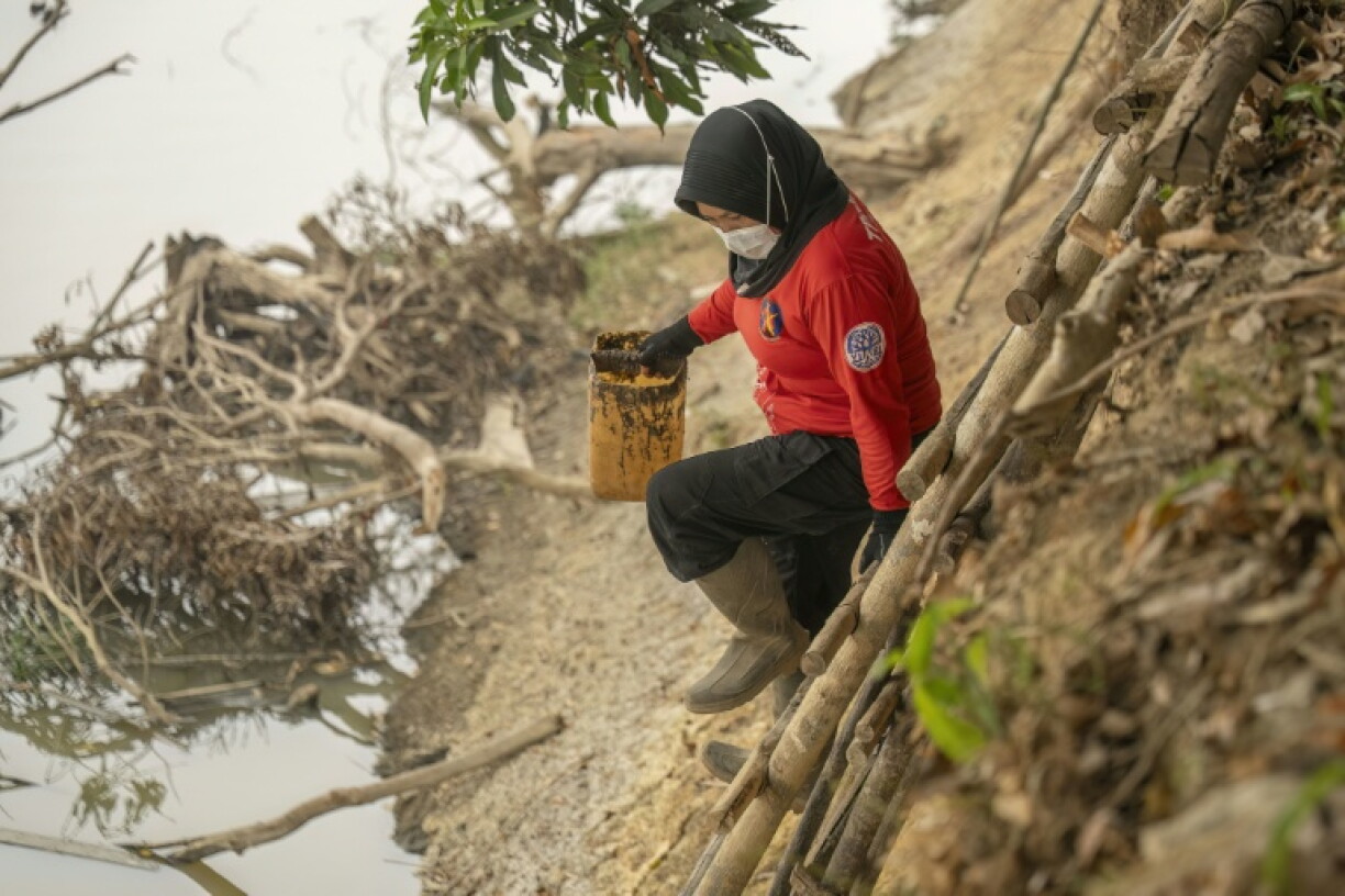 The 'Power of Mama' is backed by Indonesia's YIARI wildlife rehabilitation foundation