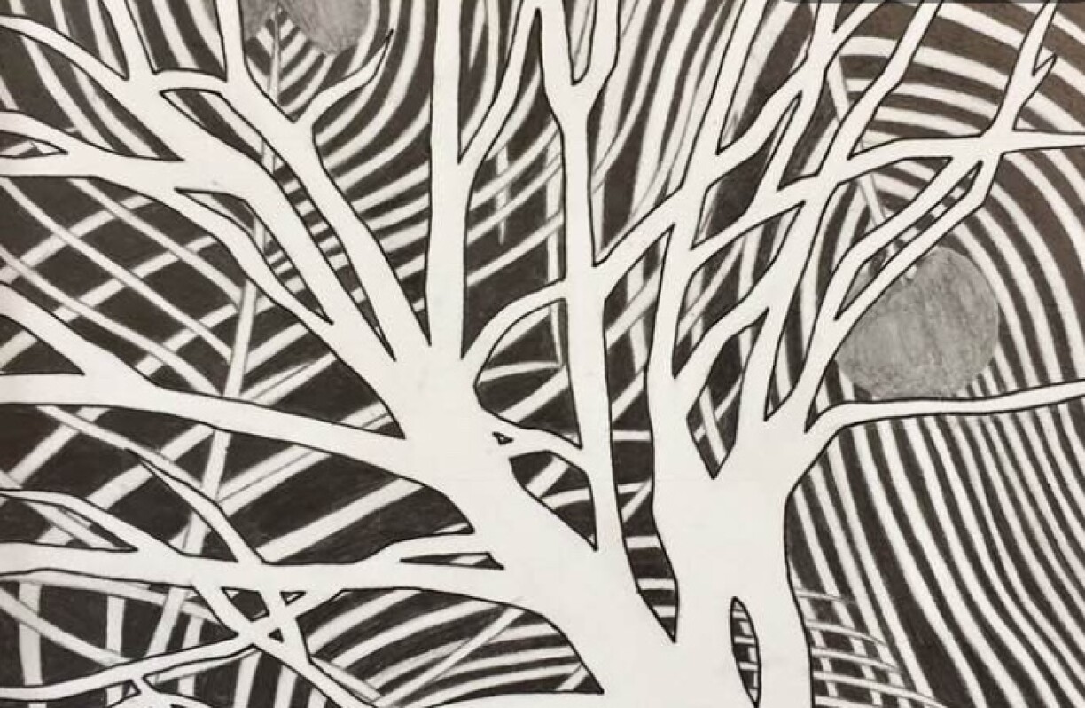 Trees in a Luxembourg forest scape, winter