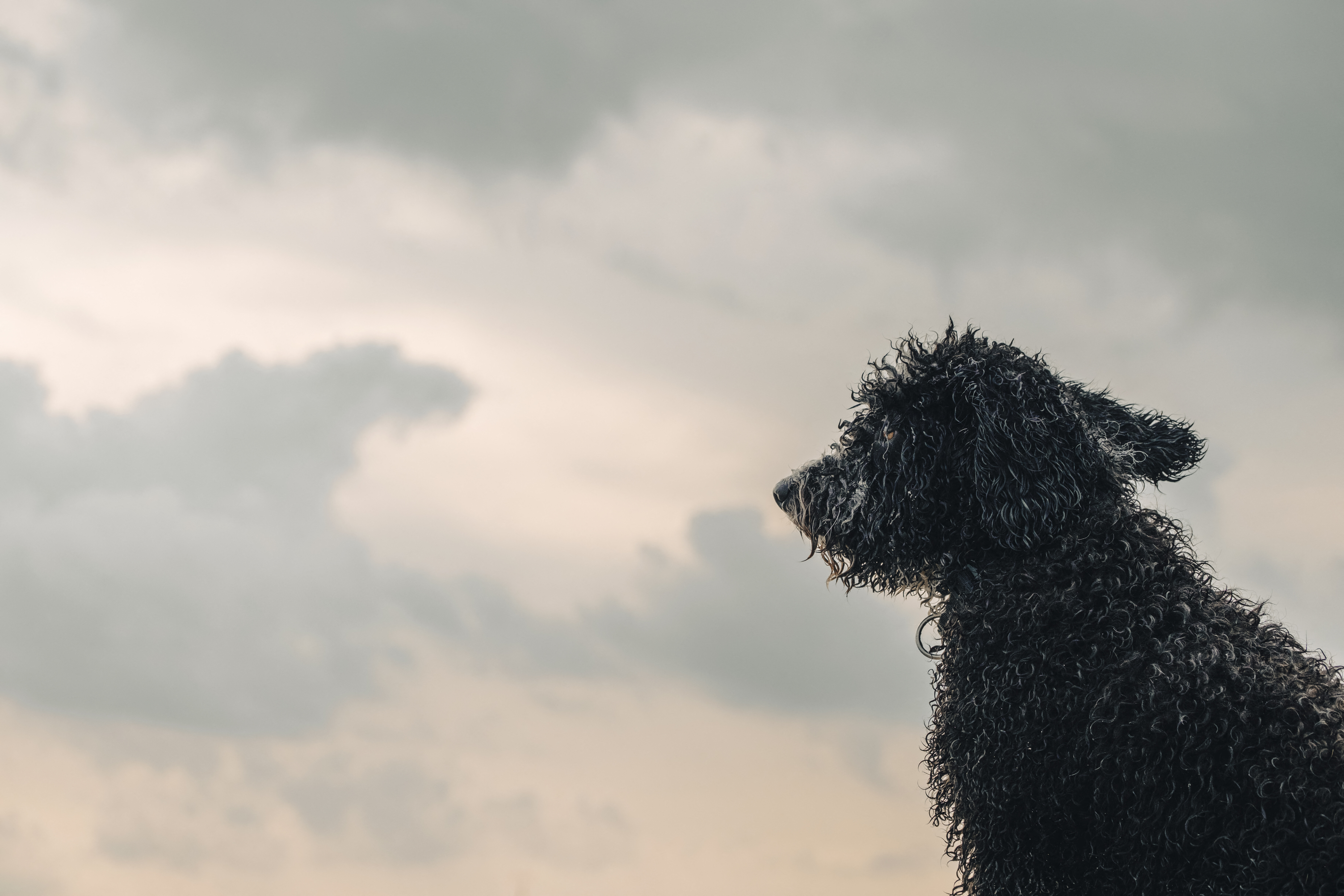 Weather & Traffic: Monday 23 February: If grey skies and cold are your thing, today is your day