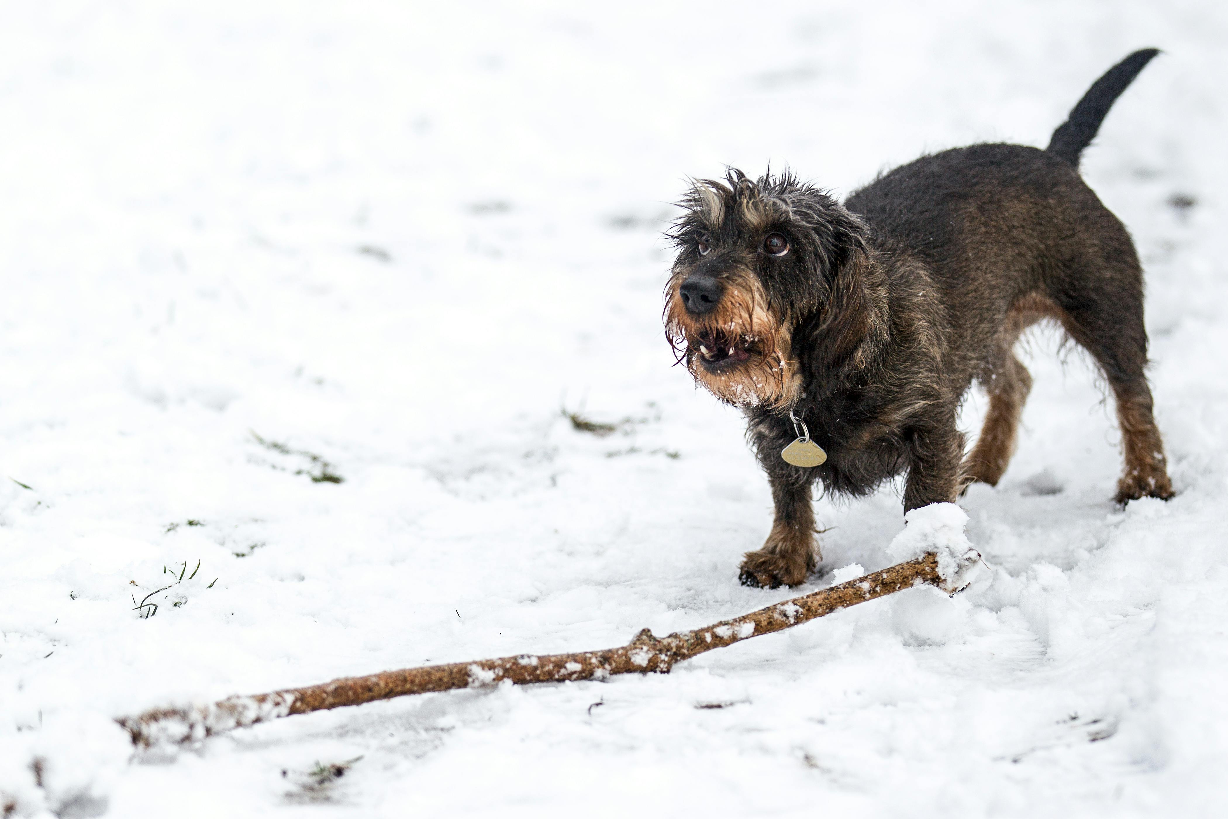 Weather & Traffic: Sunday 4 January: A wee bit nippy out there
