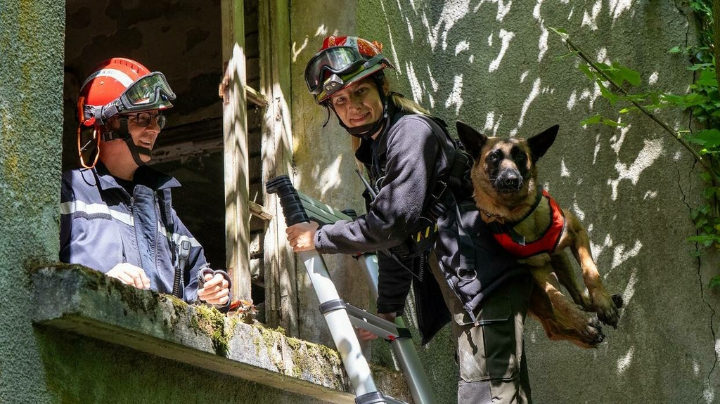 GIS Cynotechnique CGDIS: Rettungshënn am Asaz - keng Angscht virun ...