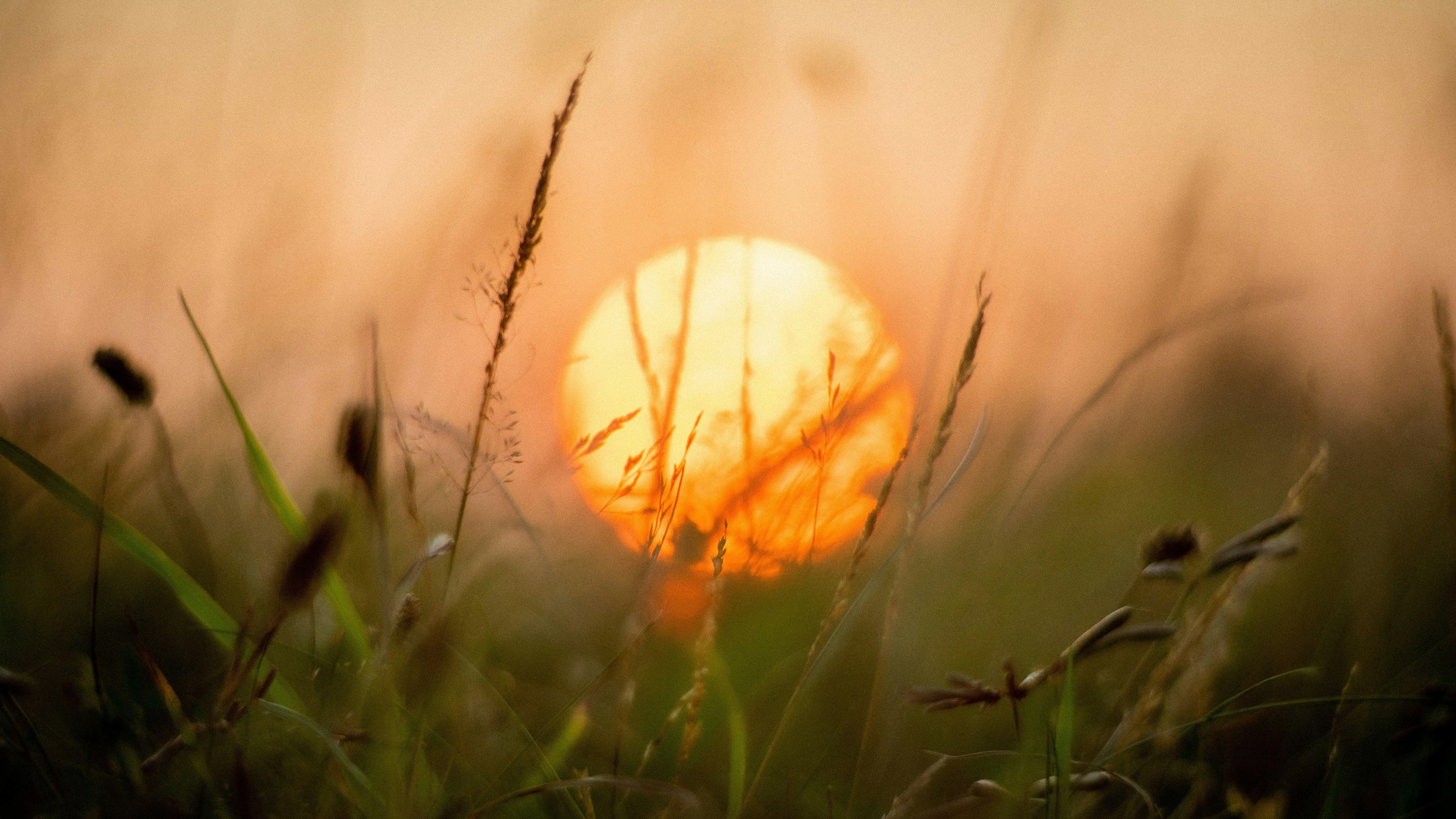 Weather & Traffic: Friday 29 May: Everybody's free to wear sunscreen