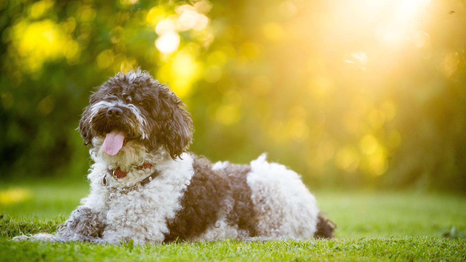 Weather & Traffic: Tuesday 26 May: Too hot to handle